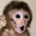 สมาชิกหมายเลข 2037329