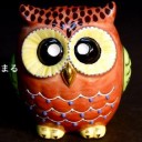 นกฮูกตาโต