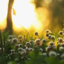 สมาชิกหมายเลข 792853