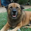 สมาชิกหมายเลข 795503