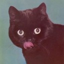 สมาชิกหมายเลข 796041