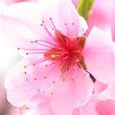 สมาชิกหมายเลข 796051