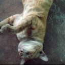 อาการะจัง