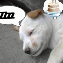 สมาชิกหมายเลข 1611438