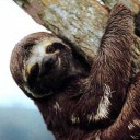 สมาชิกหมายเลข 2827198