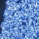 สมาชิกหมายเลข 796783