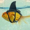 สมาชิกหมายเลข 1242323