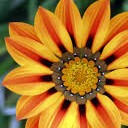 สมาชิกหมายเลข 2038662