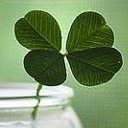 ลิตเติ้ลมัมมี่