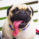 สมาชิกหมายเลข 776442