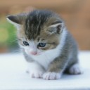 สมาชิกหมายเลข 1135447