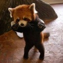 สมาชิกหมายเลข 2394393