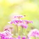 สมาชิกหมายเลข 3259518