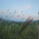 สมาชิกหมายเลข 1613005