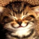 แม่ของผมเป็นคนอ้วน