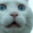 สมาชิกหมายเลข 1485639