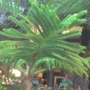 สมาชิกหมายเลข 1502934