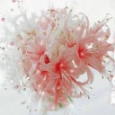 สมาชิกหมายเลข 3261594