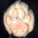 สมาชิกหมายเลข 798914