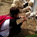 สมาชิกหมายเลข 1873177