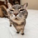 สมาชิกหมายเลข 2829973