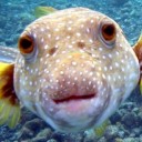 สมาชิกหมายเลข 2830145