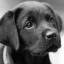 สมาชิกหมายเลข 829212