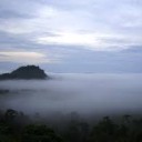 สมาชิกหมายเลข 3261959