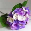 สมาชิกหมายเลข 2128383