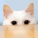 สมาชิกหมายเลข 1629958