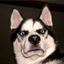 สมาชิกหมายเลข 3262432