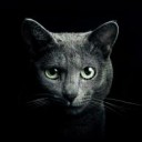 สมาชิกหมายเลข 3262583