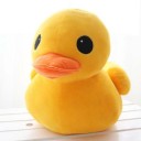 สมาชิกหมายเลข 2431553