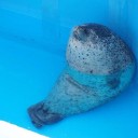 สมาชิกหมายเลข 2830931