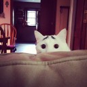 สมาชิกหมายเลข 2042039