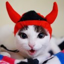 #เข้าใจตรงพ้อยท์นะคะ