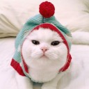 สมาชิกหมายเลข 3049535