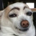 สมาชิกหมายเลข 921835