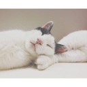 สมาชิกหมายเลข 764167