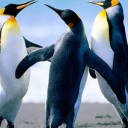 สมาชิกหมายเลข 3263592