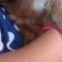 สมาชิกหมายเลข 746778