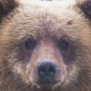 สมาชิกหมายเลข 1353397