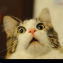 สมาชิกหมายเลข 2042777