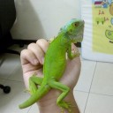 สมาชิกหมายเลข 2432850