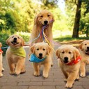 สักครั้งจะเป็นเด็กดี