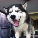 สมาชิกหมายเลข 1099769