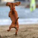 อยากสวยให้น้อยลง