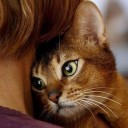 สมาชิกหมายเลข 2417568