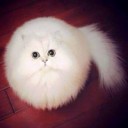 ที่ระบาย