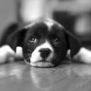 คุณจะเย็นชาไปถึงไหน